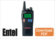 Icom F3002 4002