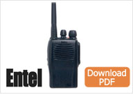 Icom F3002 4002