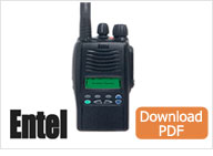 Icom F3002 4002